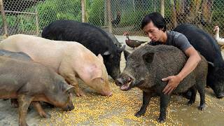 The man built a life in the wilderness and cared for his pets.
