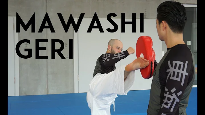 MAWASHI GERI - roundhouse kick - TEAM KI