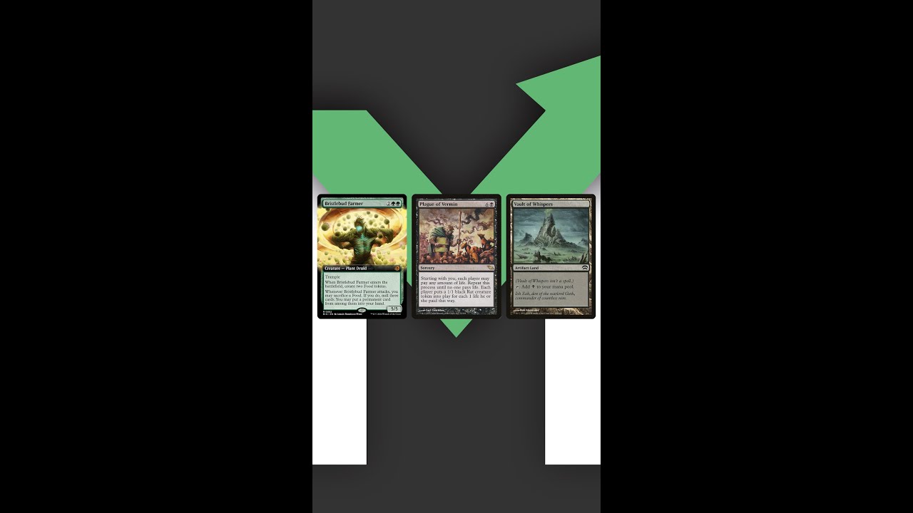 Interests of August 24, 2024 