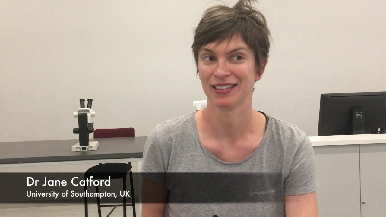 Jane Catford - YouTube