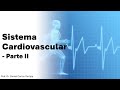 Fisiologia cardiovascular - parte II - Como o EXERCÍCIO FÍSICO Afeta Sua FREQUÊNCIA CARDÍACA!