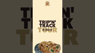 Trip'n'Track Tour - Kruševac #4 #cookies #games #challenge #game #fyp #foryoupage #tripntracktour