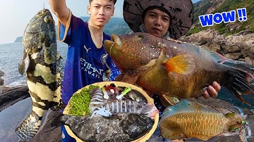 Trải nghiệm 12h săn cá biển, Mực lá và món cá Mú nấu Nho rừng cực ngon của người dân vùng hải đảo