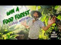 Imagine winning a food forest  heres how you can