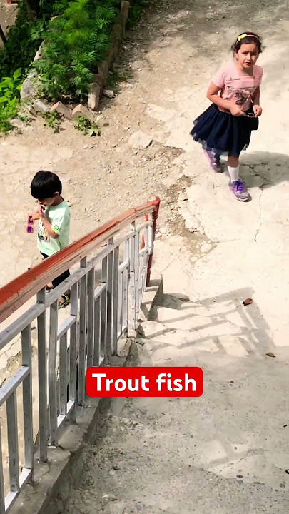 Trout fish🐟point 🤤🤤😋#inkalam