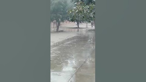 Bzu Department of Botany