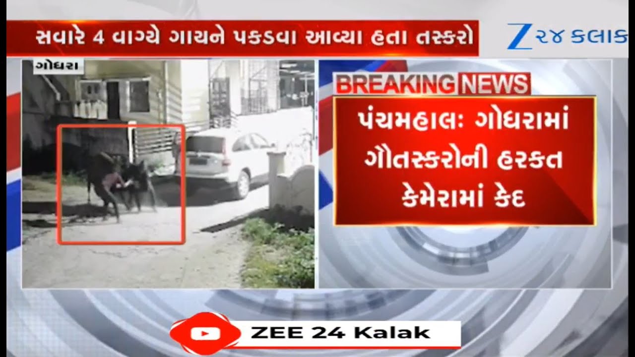 Viral video shows foiled attempt of smuggling cow in Panchmahal's Godhra; cops launch investigation