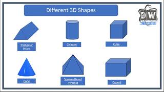 3D Shapes (Nets)