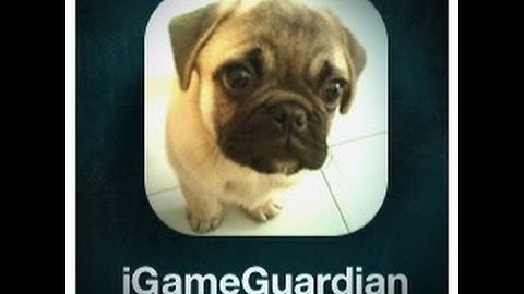 Tutorial/igameguardian ios 7.1.2\ #2