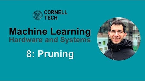 Cornell ECE 5545: ML HW & Systems. Lecture 8: Pruning