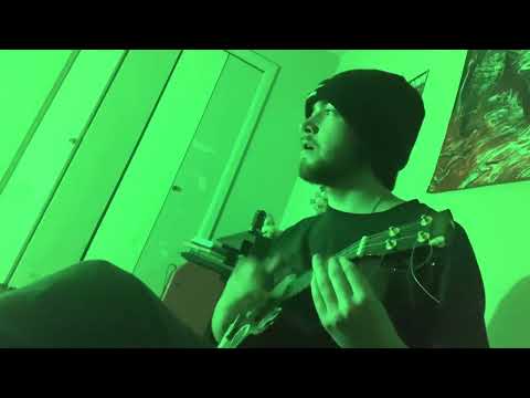 stars will fall - duster [ukulele cover]
