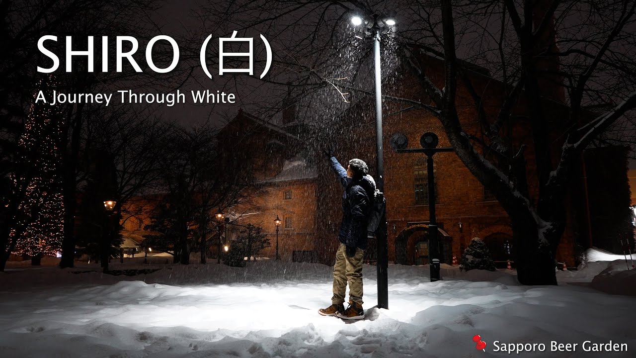 A Journey Through White | Japan Hokkaido Travel Film on Sony ZV-E1 ❄️