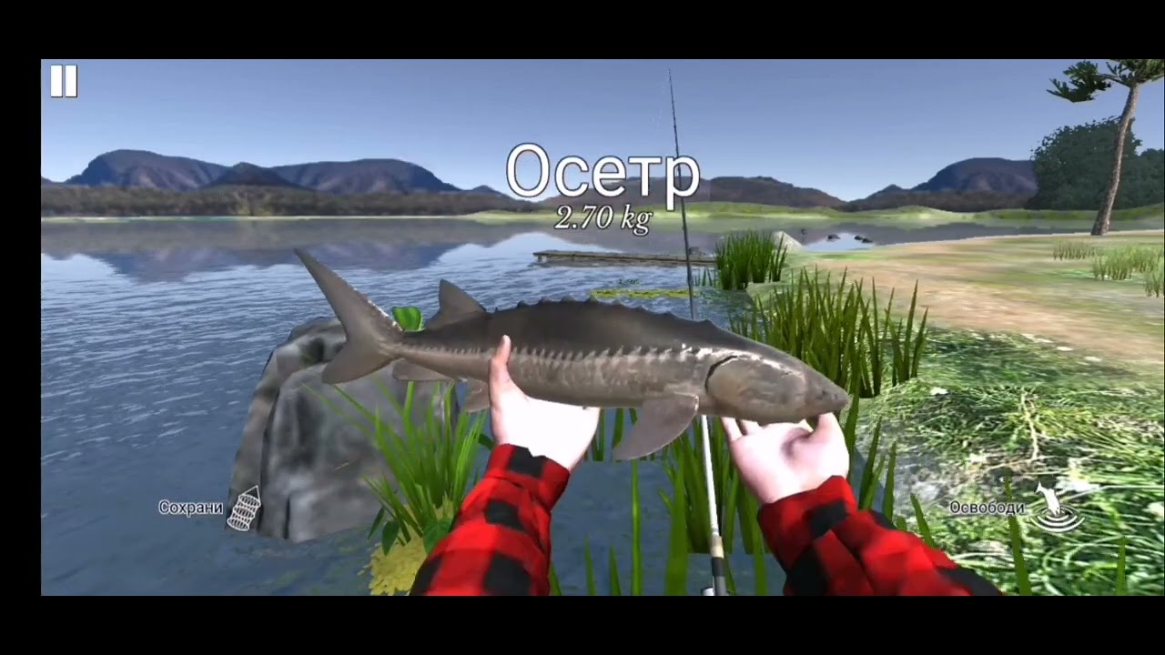рибалка в ULTIMATE FISHING SIMULATOR YouTube
