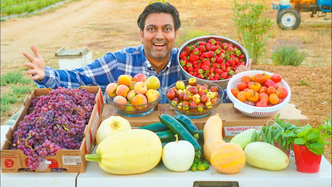 Amazing End of Season Harvest YouTube