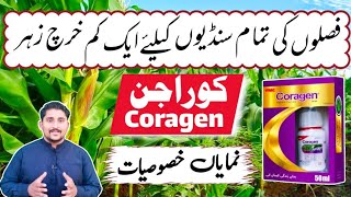 Coragen 20 SC, a Useful Insecticide | Coragen Insecticide || Apna Kisan Pakistan