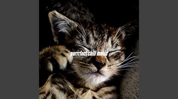 Pulsating Moods for Quiet Stories