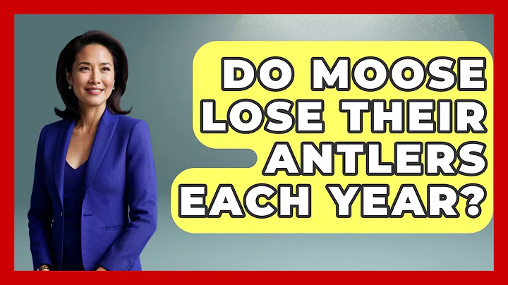 Do Moose Lose Their Antlers Each Year? - The Wild Life Explorer