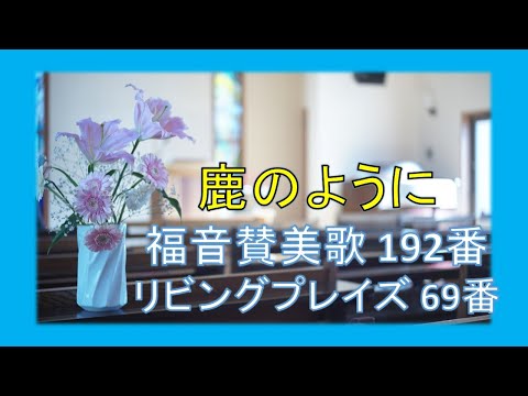 【賛美】鹿のように（福音賛美歌192番、リビンプレイズ69番）【歌詞付き】