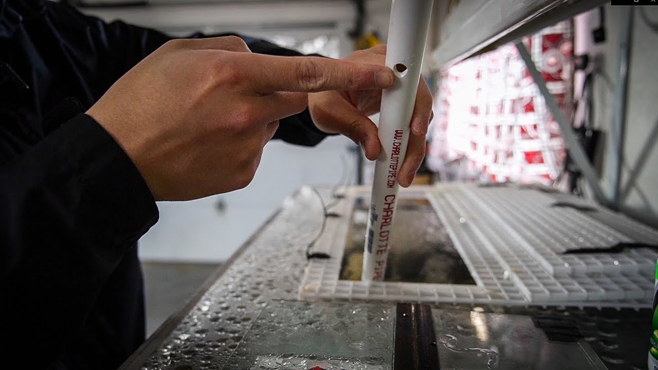 DIY Tool To Keep Uneaten Fish Food Out Of Your Aquarium!!! YouTube