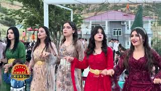 Özgün Tekçe - Hakkari Düğünleri (Kurdish Wedding) Resimi
