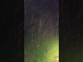 Stockton rain 01/11/17 @ 0100 hrs
