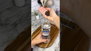 Black Pepper and Cloves Make the Best Natural Cleaner #DIYCleaning #NaturalRemedies #HomeHacks