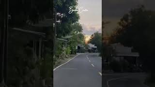 Story Wa noah Cinta Bukan Dusta