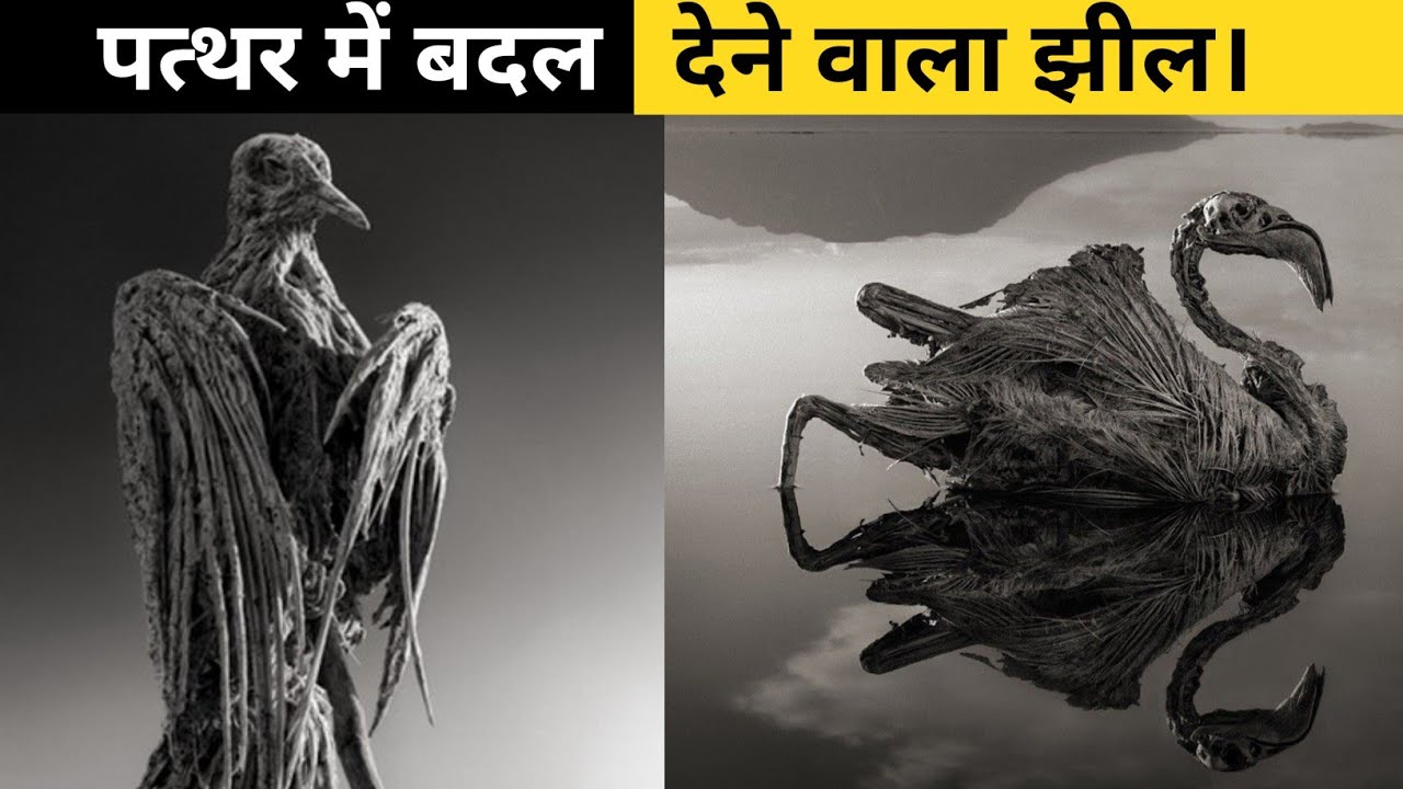 Lake Natron World Dangerous Lake 1 Min Facts shorts 