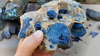 The minerals that mining companies seek.