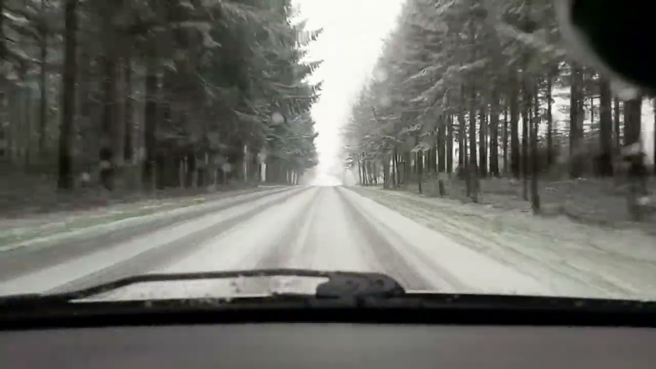 Cesta do Sées, před "kalamitou" v Normandii