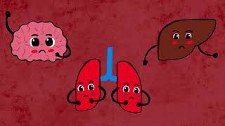 How long does it take to bleed out from a knife wound | RAEM | Explainer Animation