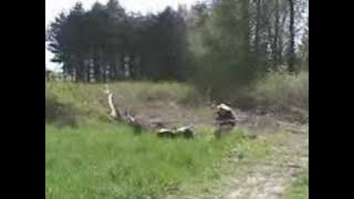 All Quiet on the Western Front