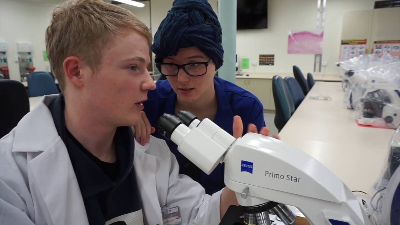 Fifty Shades of Pink