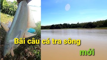 điểm câu cá tra sông bình dương mới nhất. HỘI CÂU CÁ BÌNH DƯƠNG/Nature fishing