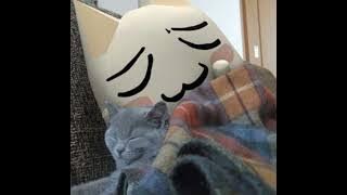 are you bored yet sped up