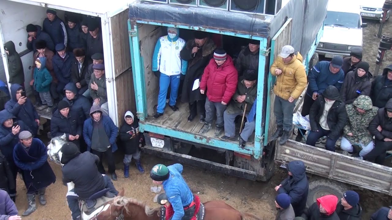 Кокпар Мехлиевтер отбасы чсать 2