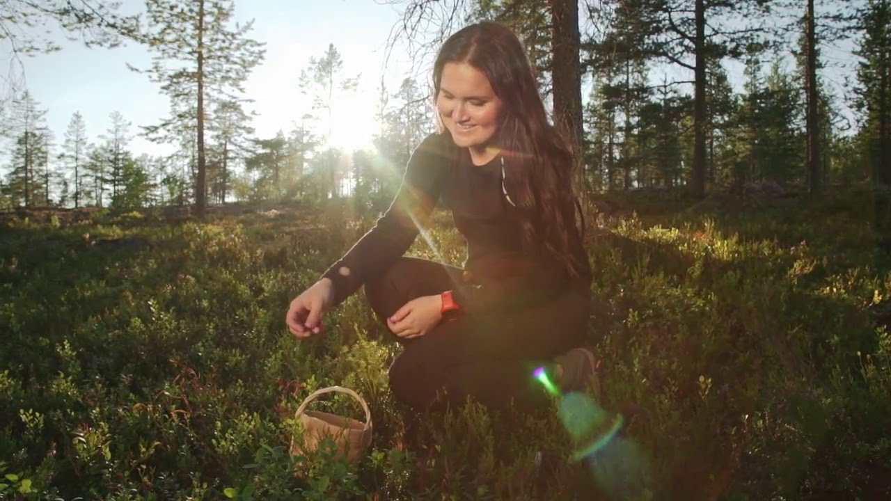Hiking under the Midnight Sun in Rovaniemi, Lapland, Finland