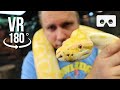 VIRTUAL TOUR OF THE REPTILE ZOO!! ALL MY REPTILES!! VR-180 | BRIAN BARCZYK