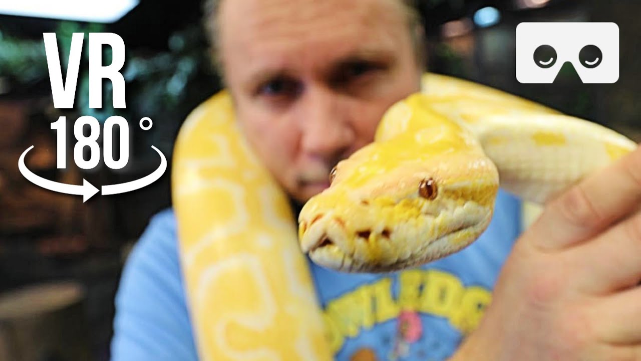 vlogs in spanish VIRTUAL TOUR OF THE REPTILE ZOO!! ALL MY REPTILES!! VR-180 | BRIAN BARCZYK