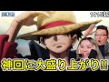1015話| 神回に大盛り上がりするカナダ人カップル【ワンピース/海外の反応】