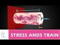 STRESS AND STRAIN PART 01