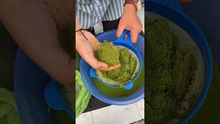 Proses Pembuatan Herbisida Nabati Dari Daun Ketapang