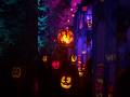 A Magical Night at the Minnesota Zoo 🎃 #jackolantern #spooky #halloween #pumpkin #ghost #zoo