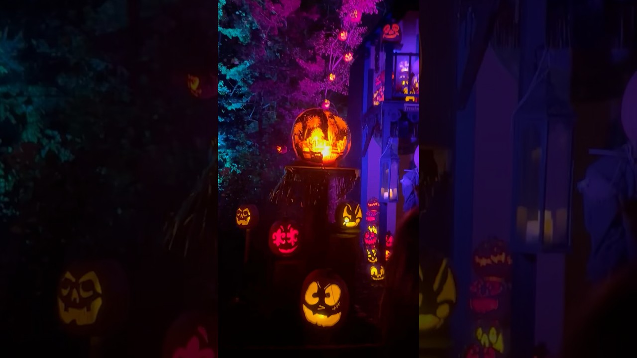 A Magical Night at the Minnesota Zoo 🎃 