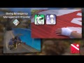 DAN Training Courses