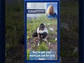 Autumn Plant and Seed Swap with Second Harvest Food Bank!