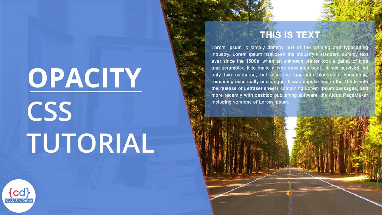 Opacity in CSS | CSS Transparent Background Color - YouTube