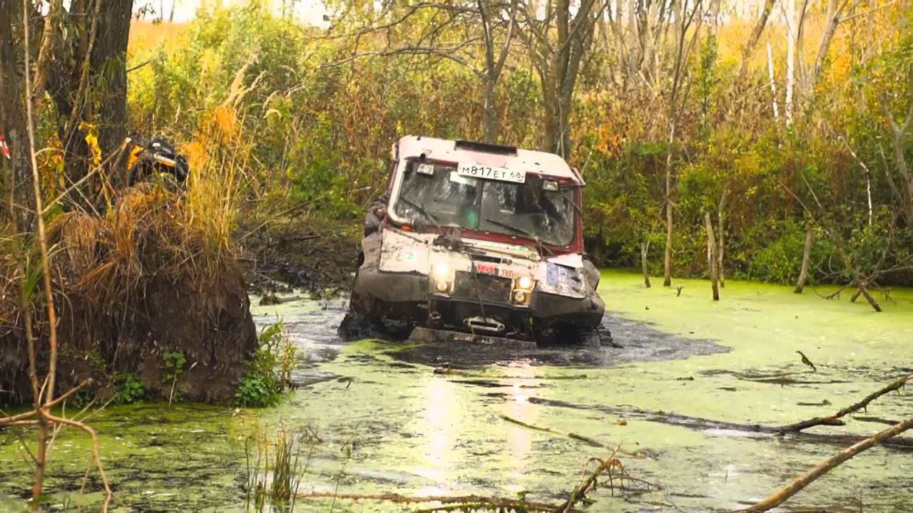 Бегемот трофи 2011.wmv - YouTube