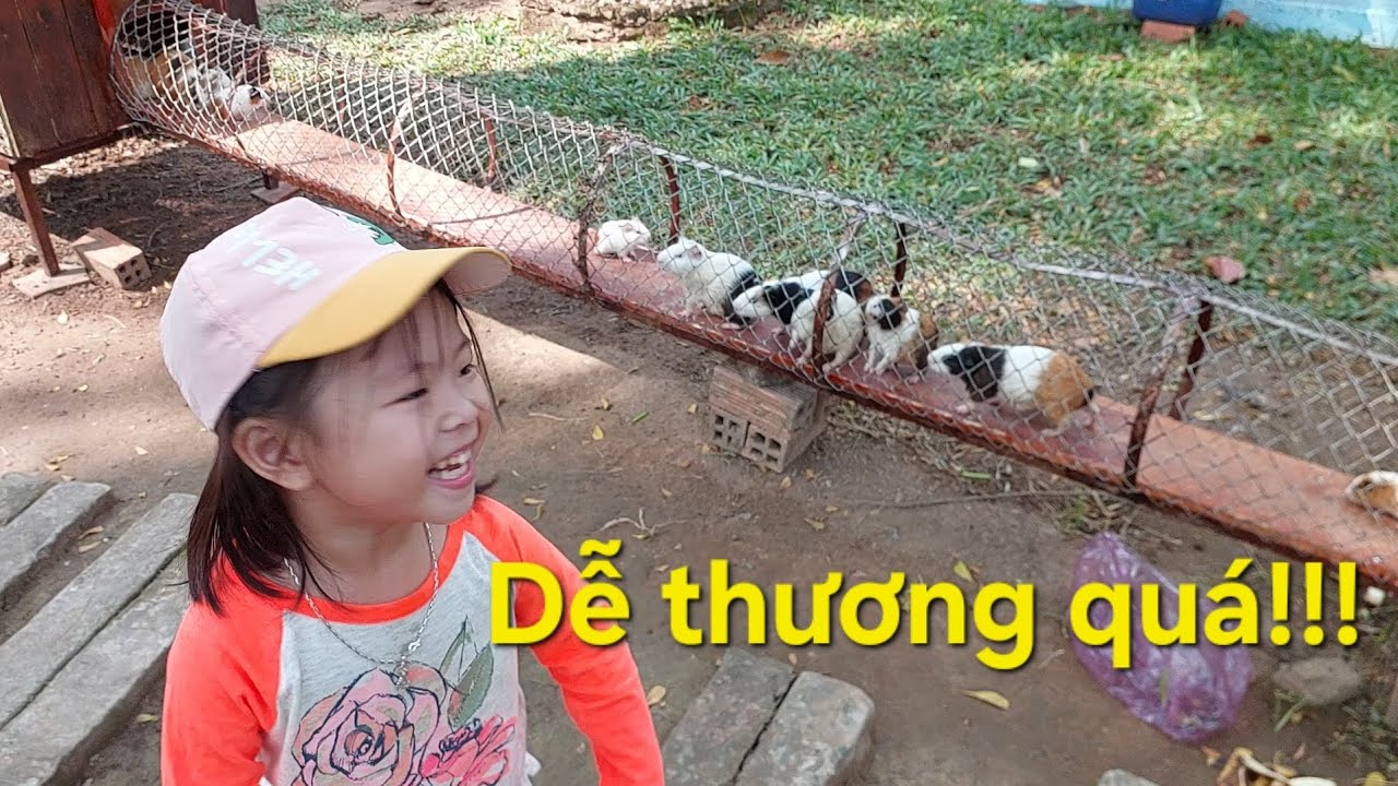 Tham quan trại rắn Đồng Tâm ở Đồng Tháp. Trại rắn lớn nhất Việt Nam