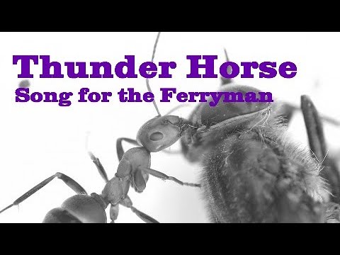 Thunder Horse - Song for the Ferryman (Official Video) | Ripple Music - 2021